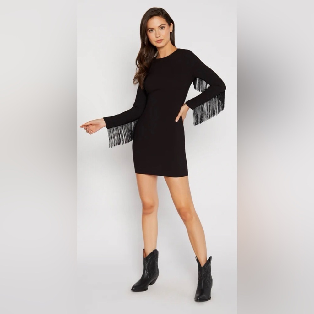Likely Black Long Sleeve Dress with Fringe Detail